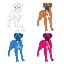 Boxer mintás póló