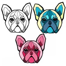 Francia bulldog mintájú csősál