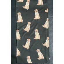 Labrador  mintájú csősál