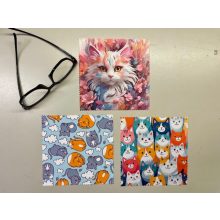 Cicás szemüveg-törlőkendő